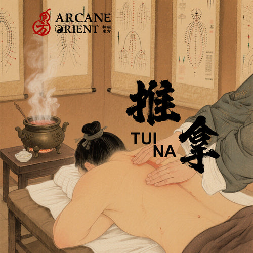 Unlocking Tuina’s Healing Power: A Professional Course